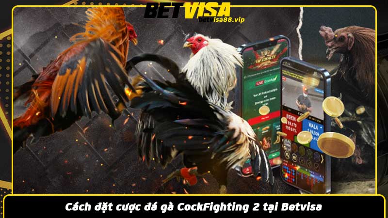 Cách đặt cược đá gà CockFighting 2 tại Betvisa