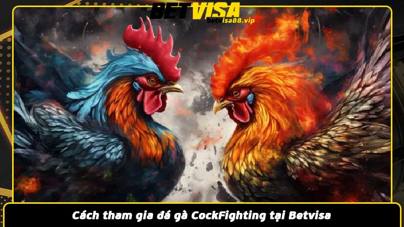 Cách tham gia đá gà CockFighting tại Betvisa