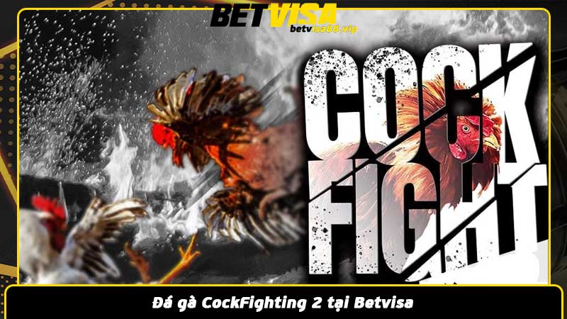 Đá gà CockFighting 2 tại Betvisa