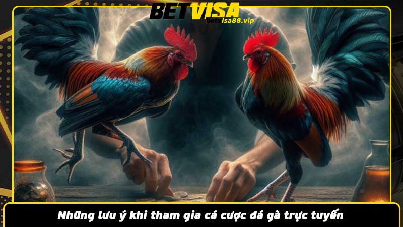 Những lưu ý khi tham gia cá cược đá gà trực tuyến